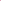 ๐ฉท Blossom