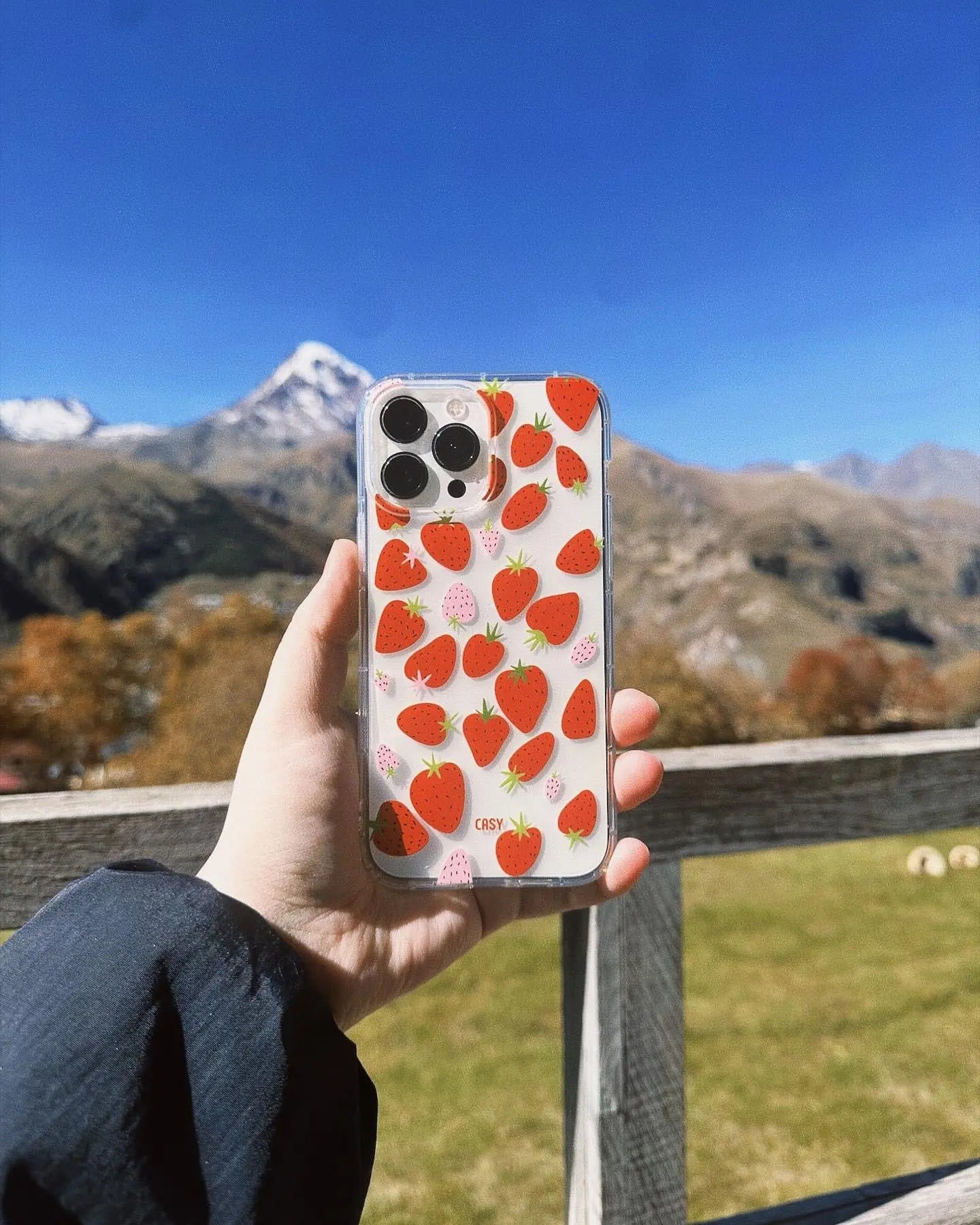 Strawberries 🍓 - Casy • ქეისი